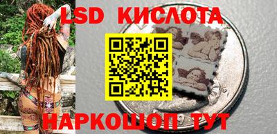 крисы Гай