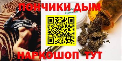крисы Гай