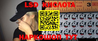крисы Гай