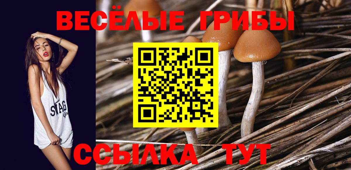 Назрань  Галлюциногенные грибы мицелий  Вход с VPN 